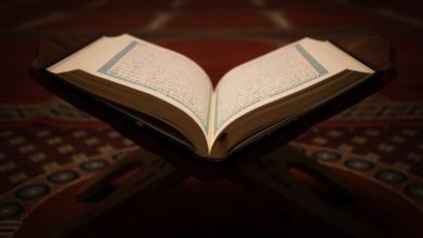 قرآن وقراء