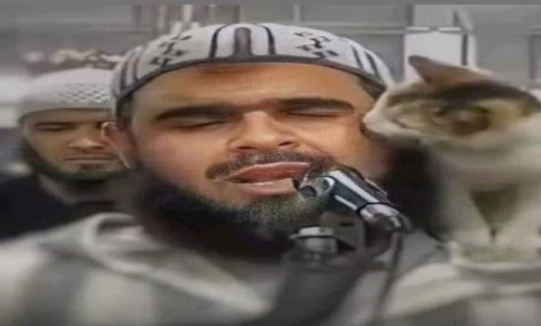 الإمام والقطة