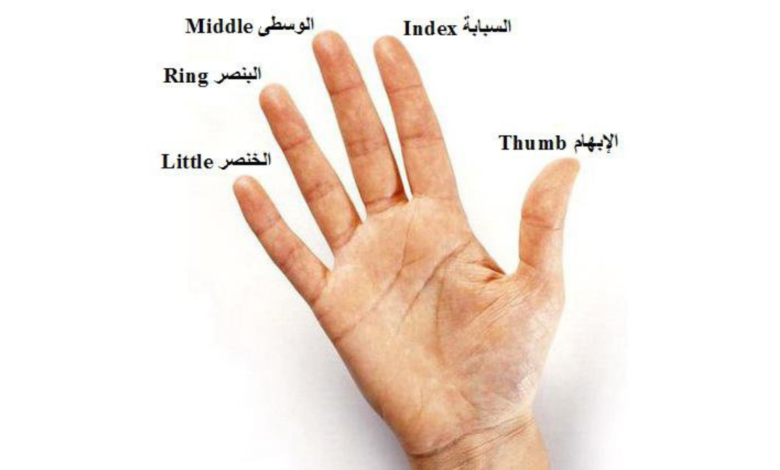 أصابع الإنسان