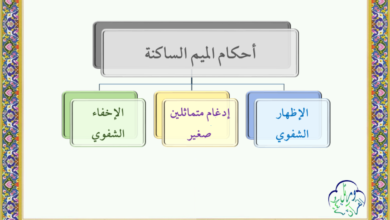 أحكام الميم الساكنة