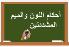 حكم النون والميم المشددتين