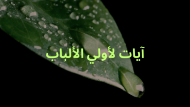 آيات لأولي الألباب