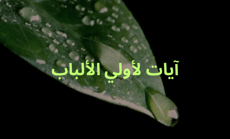 آيات لأولي الألباب