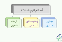 أحكام الميم الساكنة