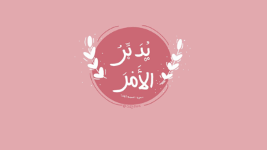 الملك يدبر لنا