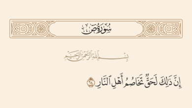 تخاصم أهل النار